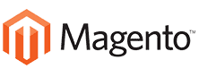 freelance WordPress developer